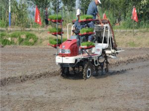 2020 New Design FM World Fully Automatic High Speed Rice Transplanter