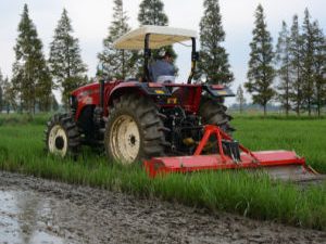2020 New Design Farm Machinery Paddy Rotovator for Agriculture