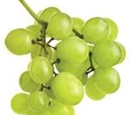 GREEN SEEDLESS GRAPES FRESH PRODUCE FRUIT PER POUND