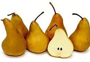 PEARS PREMIUM BOSC FRESH PRODUCE FRUIT PER POUND