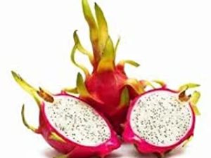 Fresh Dragon Fruit (Set of 6)