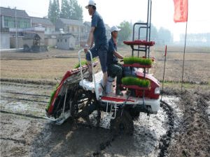 4 Wheel Driven High Quality Disesel Rice Planting Machine