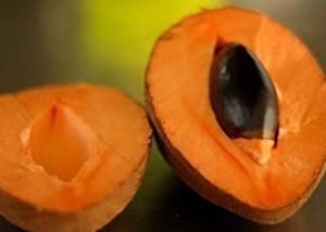 Mamey Sapote Pouteria Sapota (4 Count)