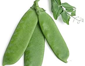Snow Peas 1lb