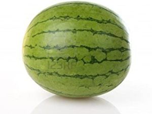 WHOLE WATERMELON MINI FRESH FRUIT PRODUCE VEGETABLES