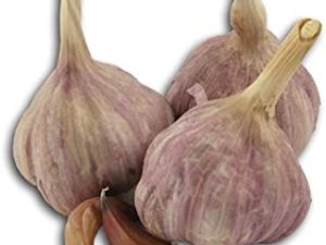 Fresh Produce Fresh Garlic Organic - 1 lb.