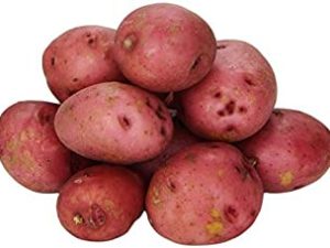 Baby Red Potatoes 1 Pound 1lb