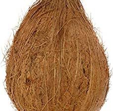 Fresh Produce Coconut Husk Large, 1 pc