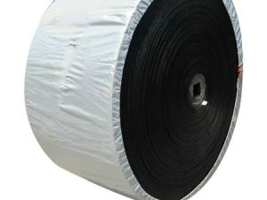 Conveyor Belt  sushi Used Nylon Conveyor