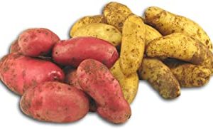 Fresh Produce Potato Fingerling - 5 lbs.