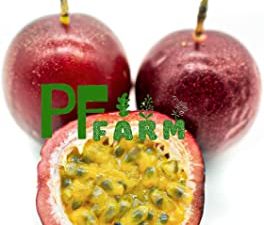 PF FARM Dark Purple Passion Fruit -- Fresh Sweet Good Smell --3lbs (Florida No. 1)