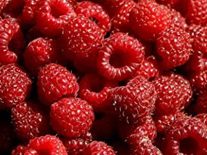 RASPBERRIES RED FRESH PRODUCE FRUIT VEGETABLES PER PINT (6 oz)