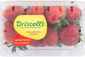 Berry Strawberry Conventional, 16 Ounce