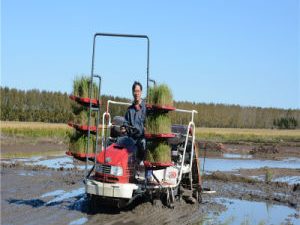 Automatic High Quality CE Certificate Farm Machinery for Sowing