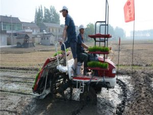 CE Certificate Eight Rows Rice Seeder Side for Fertilization