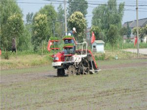 Diesel High Quality Wdfm Paddy Transplanter with CE Certificate