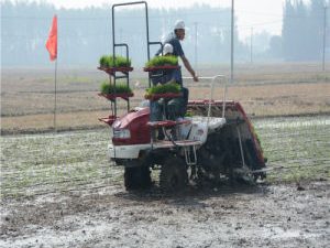 Eight Rows New Hydraulic Steering Type Rice Seeder in China