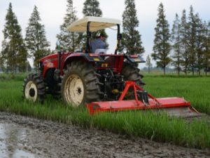 Farm/Garden Tractor Machinery Rotovator Tiller (1JMS-300)