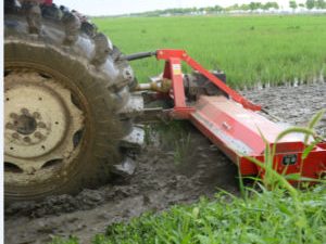 Farm Implements Paddy Rotovator Tiller Rotary Cultivator
