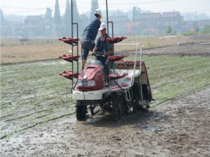 Fertilizer Applicator Efficient and Durable Riding Type Transplanter