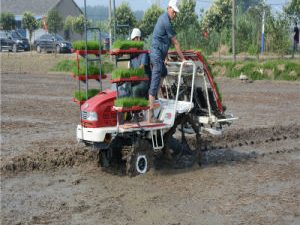 Fmwd Fully Automatic High Speed Disesel Rice Transplanter Made in China