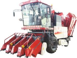 Fmworld Yulong 4yz-4D Corn Maize Combine Harvester Fram Equitment