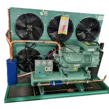 Units 5hp 8hp 10hp 12hpHot Sale Blast Freezer Comercial Fast Freezing Cold Room Condensing Unit Compressor  Units