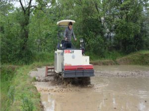 High Speed Autonomous Six Rows Wdfm Rice Transplanter in China