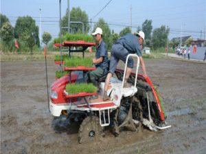 High Speed Disesel Wdfm Autonomous China Six Rows Farm Machinery