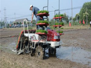 High Speed Disesel Wdfm Planting Machine Rice Seeder in China