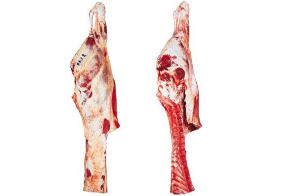 Beef Hindquarter (Flank off) / 'Pistola' cut, incl. Bavette