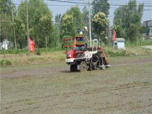 Hydraulic Steering Type Diesel Planting Machine Paddy Transplanter Manufacture