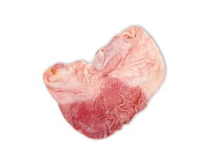 Frozen Pork Offals (Pluck, Kidneys, Stomach, Lining Net, Spleen, Lungs)