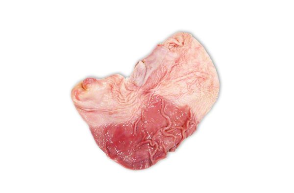 Frozen Pork Offals (Pluck, Kidneys, Stomach, Lining Net, Spleen, Lungs)