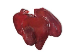 Frozen Pork Liver