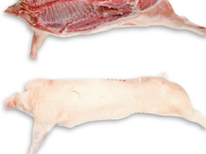 Frozen Porkside (EEC cut, jowl on)
