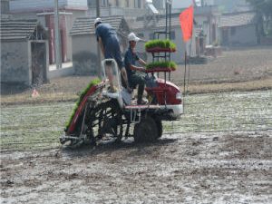 Side for Fertilization China Rice Planting Machine with CE Certificate