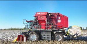 Strong Practicability 6 Rows Hydraulic Drive Cotton Harvester with Excellent Service