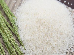 Rice