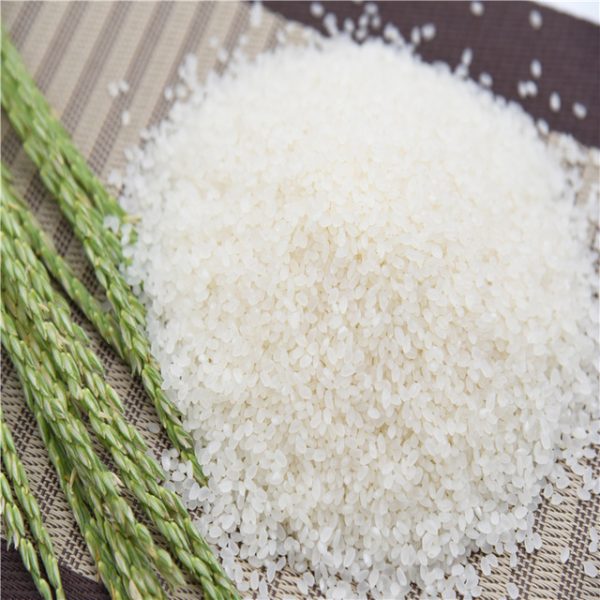 Rice