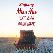 Zero Defect Practical Portable Combined Cotton Harvester with 2 Years Warranty
