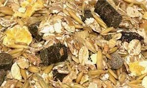 Alpaca Feed