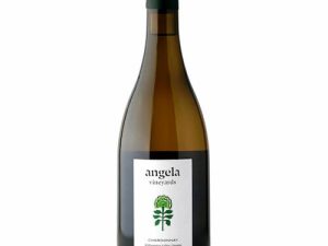 Angela Vineyards Willamette Chardonnay Oregon 2018 Rated 94WE EDITORS CHOICE