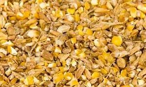 Poultry Feed