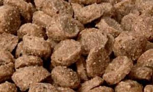 Dog Food
