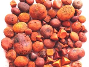 Ox Gallstones