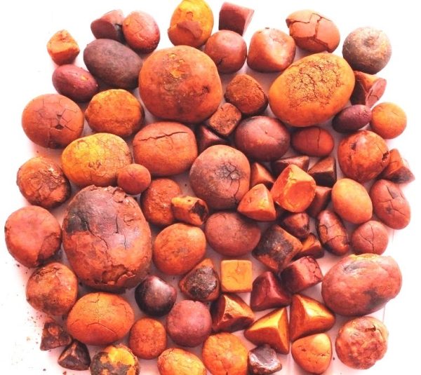 Ox Gallstones