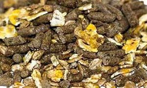 Horse Feed