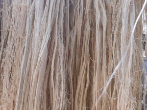 Natural banana fiber