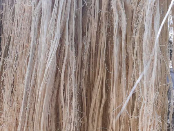 Natural banana fiber